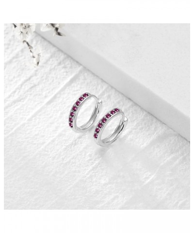 S925 Sterling Silver Birthstone Huggie Small Hoop Earrings for Women Girls Teens, Made with Cubic Zirconia and Austrian Cryst...