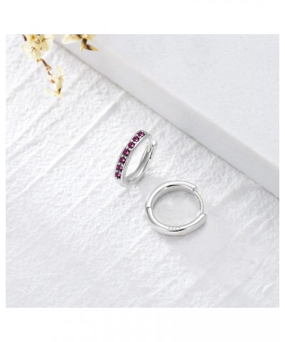 S925 Sterling Silver Birthstone Huggie Small Hoop Earrings for Women Girls Teens, Made with Cubic Zirconia and Austrian Cryst...