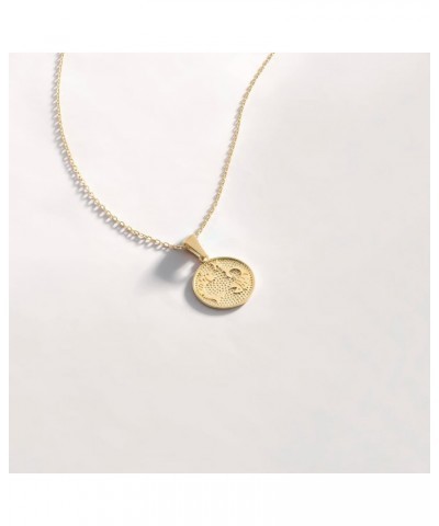 14K Gold Zodiac Coin Necklace | 14k Solid Gold Sold Astrology Sign Necklace | Horoscope Jewelry for Women, 18 Pisces $68.41 N...