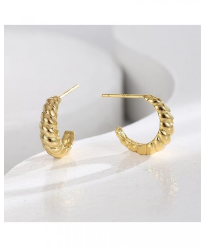 Earrings for Women Gold Hoop Earrings 18K Gold Plated Hypoallergenic Lightweight Chunky Thick Open Hoops Gold Earrings for Wo...